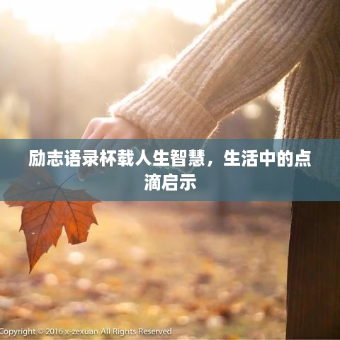 励志语录杯载人生智慧，生活中的点滴启示