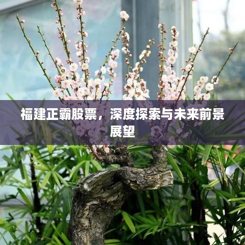 福建正霸股票，深度探索与未来前景展望