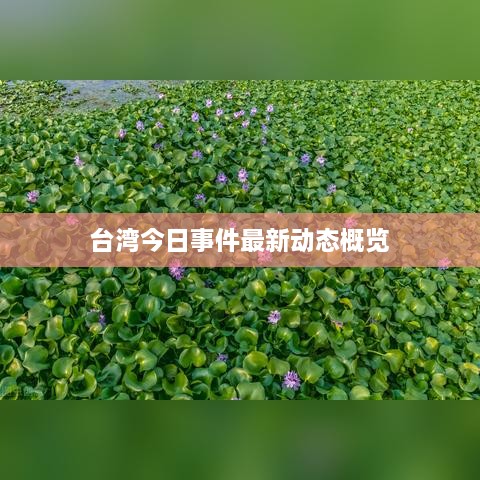 台湾今日事件最新动态概览