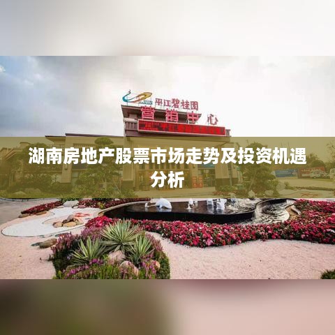 湖南房地产股票市场走势及投资机遇分析