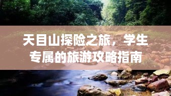 解决方案 第3页