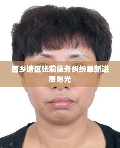 西乡塘区张莉债务纠纷最新进展曝光