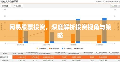 网易股票投资，深度解析投资视角与策略