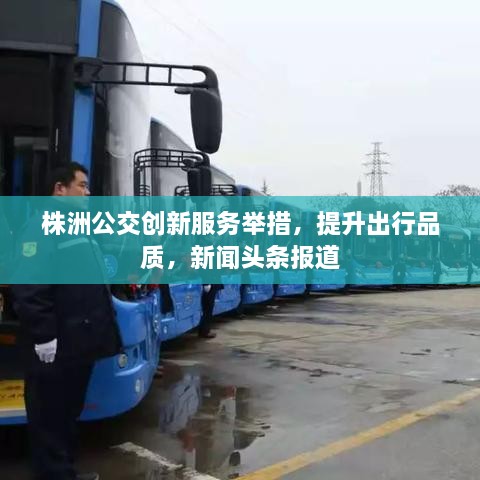 株洲公交创新服务举措，提升出行品质，新闻头条报道