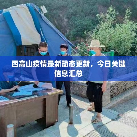 西高山疫情最新动态更新，今日关键信息汇总