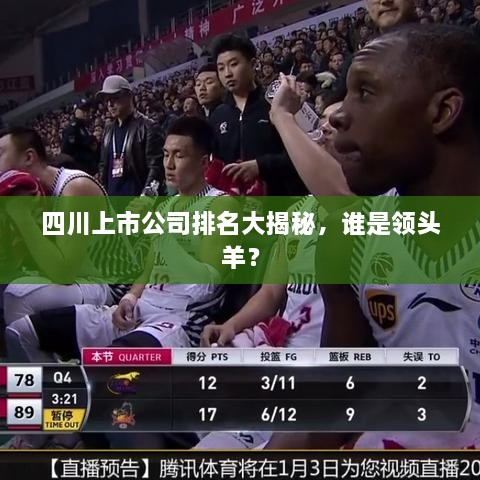 四川上市公司排名大揭秘，谁是领头羊？