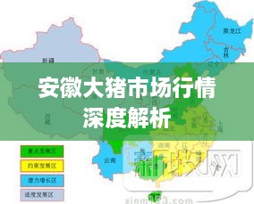 安徽大猪市场行情深度解析