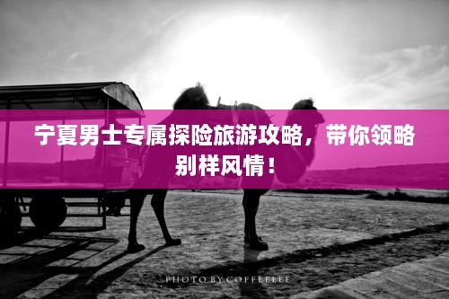宁夏男士专属探险旅游攻略，带你领略别样风情！