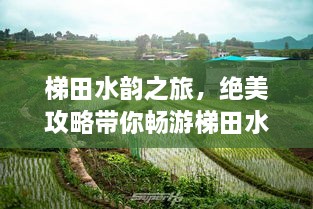 梯田水韵之旅，绝美攻略带你畅游梯田水乡