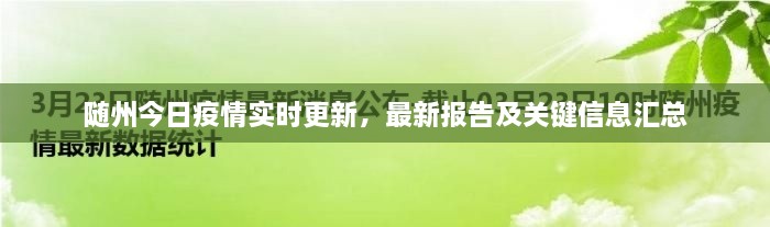 随州今日疫情实时更新，最新报告及关键信息汇总