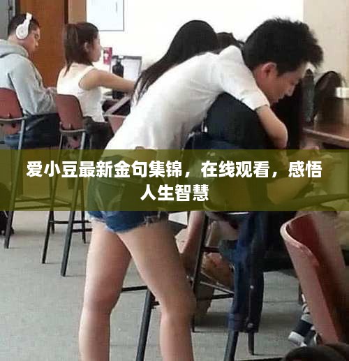 爱小豆最新金句集锦，在线观看，感悟人生智慧