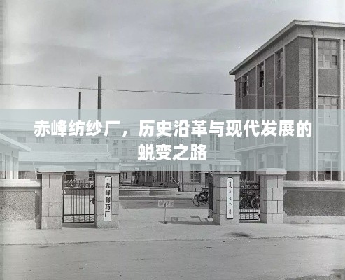 赤峰纺纱厂，历史沿革与现代发展的蜕变之路