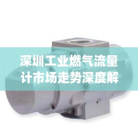 深圳工业燃气流量计市场走势深度解析