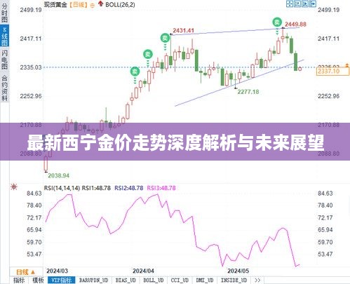 最新西宁金价走势深度解析与未来展望