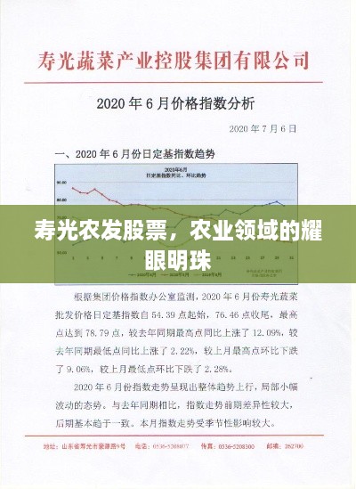 寿光农发股票，农业领域的耀眼明珠