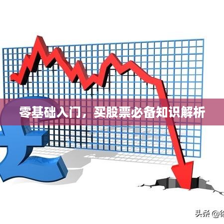 零基础入门，买股票必备知识解析