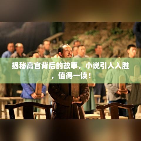 揭秘高官背后的故事，小说引人入胜，值得一读！